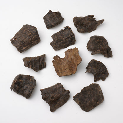 جار فيتنامي قرطبة